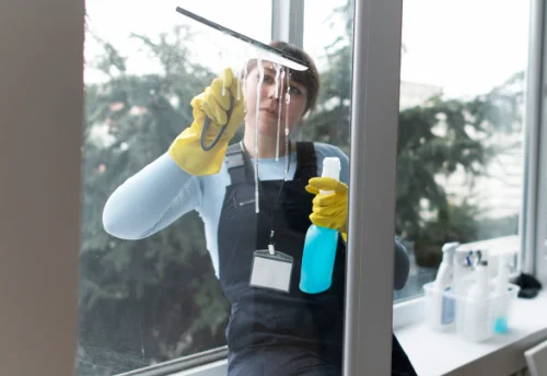 Nettoyage de vitres intérieures et extérieures à Bellignat